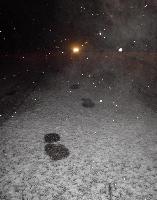 Footprints in the Snow