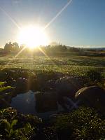 Sunrise in National Park